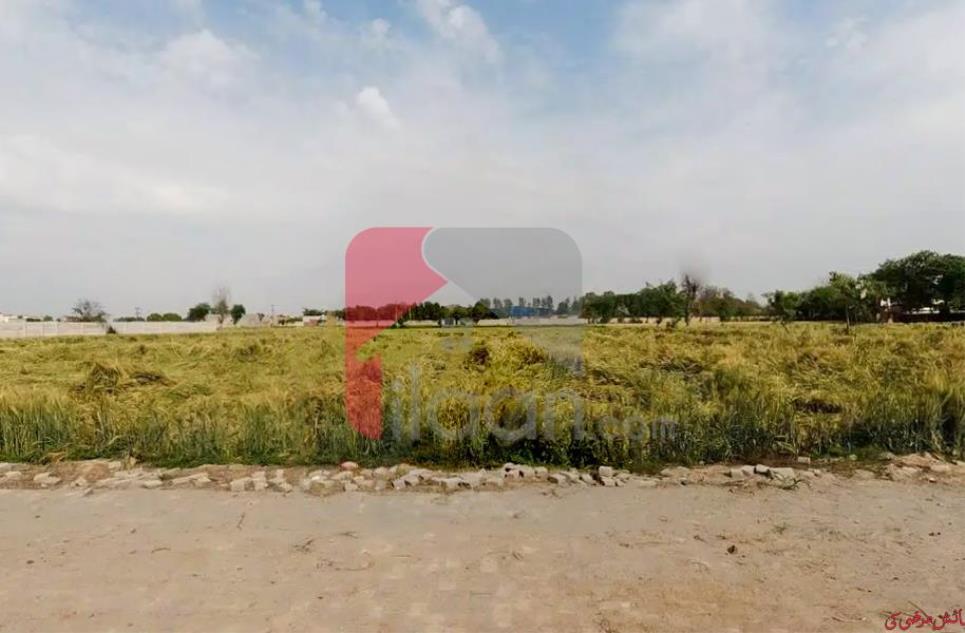 15 Kanal Agriculture Land for Sale in Karbath, Lahore