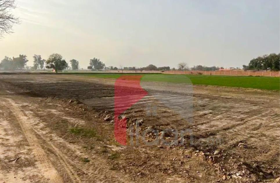 4 Kanal Agriculture Land for Sale on Bedian Road, Lahore