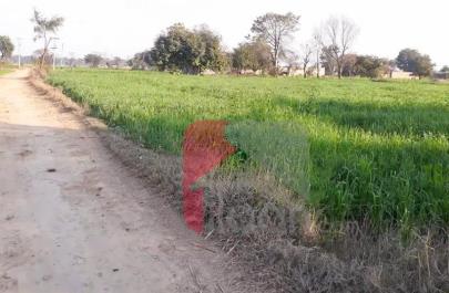 8 Kanal Agriculture Land for Sale on Barki Road, Lahore
