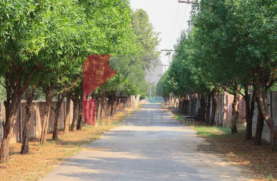 8 Kanal Plot for Sale in Paradise Farms, Barki Road, Lahore