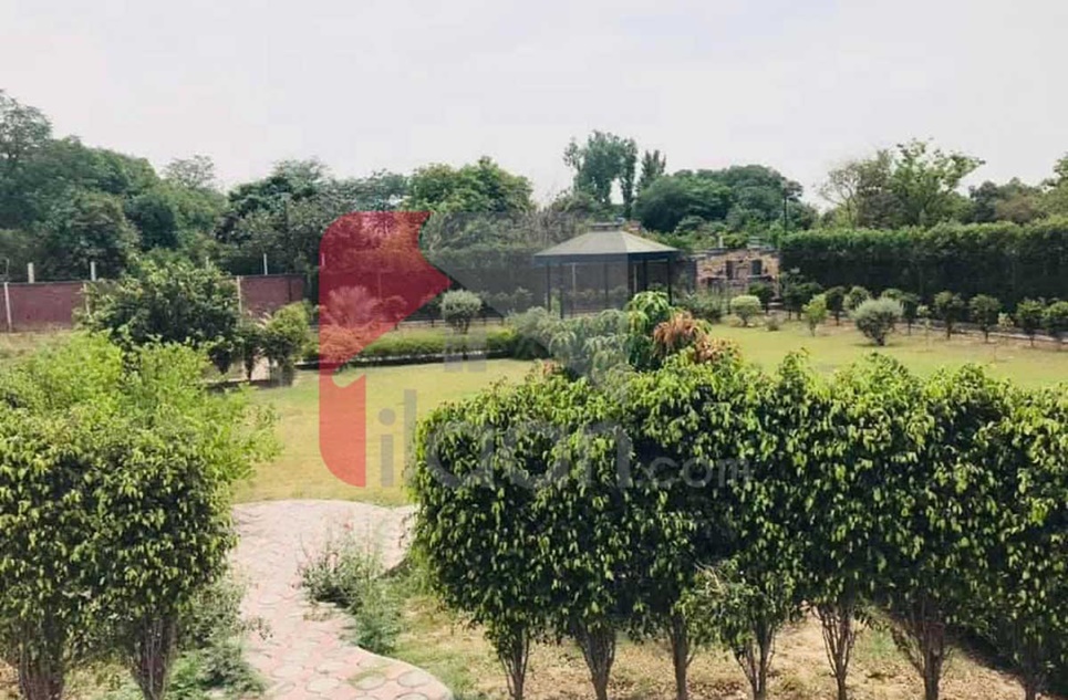 2 Kanal Farm House for Sale in Bedian Road, Lahore