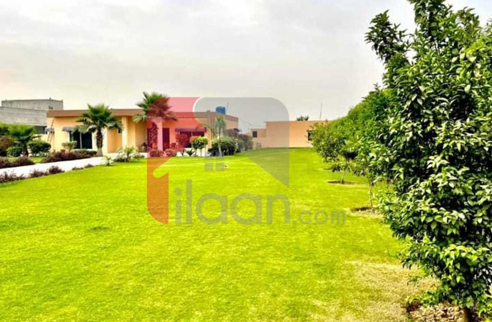 1 Kanal Farmhouse For Sale on Main Bedian Road, Lahore