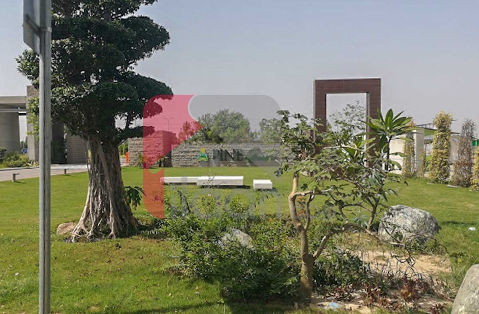 8 Marla Plot for Sale in Pine Garden, Faisalabad