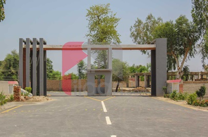 5 Marla Plot (Plot no 192) for Sale in Hussain Avenue, Jhangi Wala Road, Bahawalpur