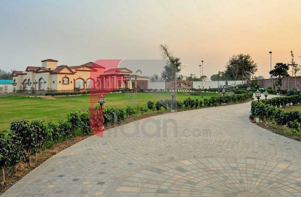 10 Kanal 10 Marla Farm House for Sale on Bedian Road, Lahore