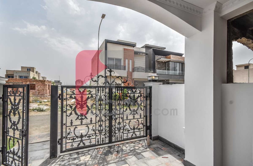 5 Marla House for Rent in Phase 9 - Town, DHA Lahore