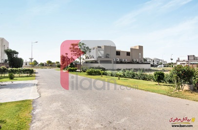 1 Kanal Plot (Plot no 306) for Sale in Block G, Phase 6, DHA Lahore
