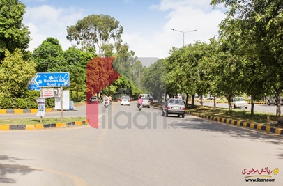 14.2 Marla House for Rent (First Floor) in I- 8, Islamabad