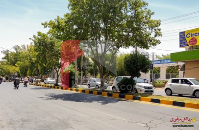 15 Marla Plaza for Sale in Trust Colony, Bahawalpur