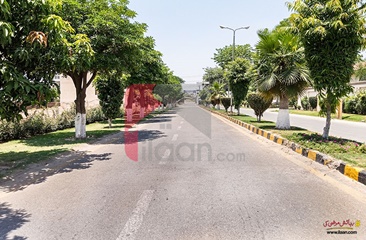 3.5 Marla Commercial Plot for Sale in Phase 1, Gul Bahar Park, Lahore Canal Bank Cooperative Housing Society, Lahore