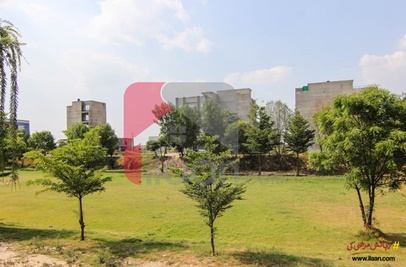 5 Marla House for Rent in Block N, Formanites Housing Scheme, Lahore