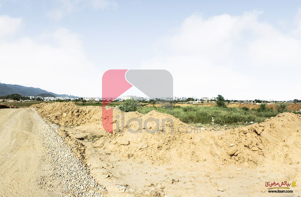 16 Acre 2 Kanal Land for Sale in Moza Chahaan, Attock