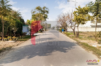 1 Kanal Plot (Plot no 186) for Sale in Block C, Phase 8 - Park View, DHA Lahore