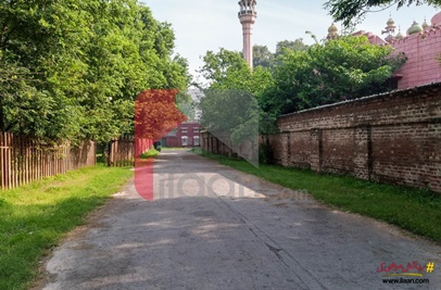 1 Kanal Office for Rent in Garhi Shahu, Lahore