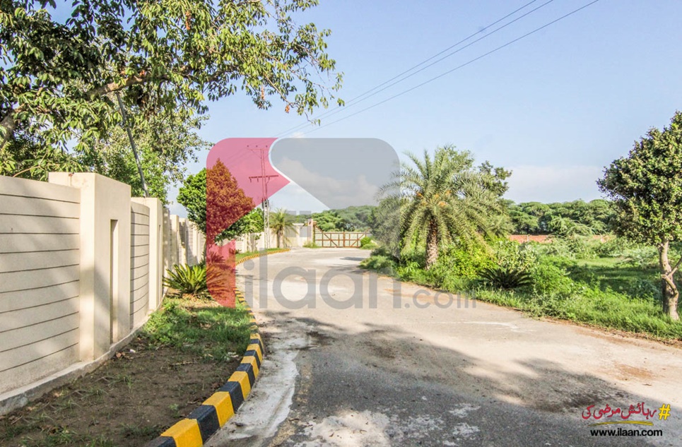 4 Kanal Farm House Land  for Sale on Japan Road, Barki Road, Lahore