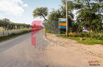 2 Acre 4 Kanal Farm House for Sale on BRB Canal Road, Lahore