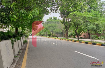 18 Marla Commercial Plot for Sale on Davis Road, Lahore