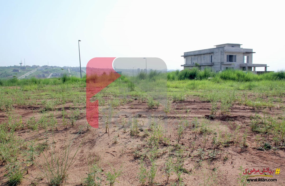 1 Kanal Pair Plots for Sale in Block C, Phase 5, DHA Islamabad
