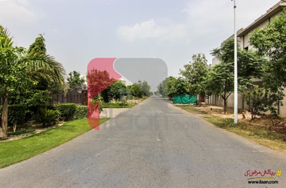 1 Kanal Plot for Sale in Block R, Phase 7, DHA Lahore