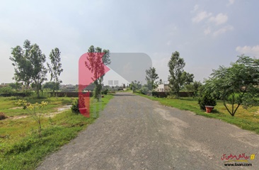 3 Marla Commercial Plot for Sale in Al e Fazal Farm House, Jia Bagga Road, Lahore