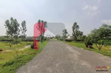 3 Marla Commercial Plot for Sale in Al e Fazal Farm House, Jia Bagga Road, Lahore