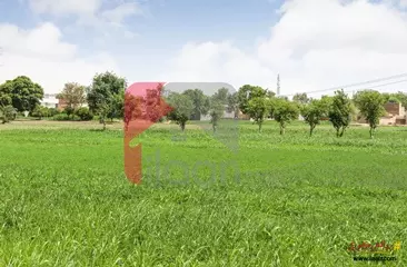 6 Acre Agriculture Land for Sale in Chak 14 BC, Bahawapur