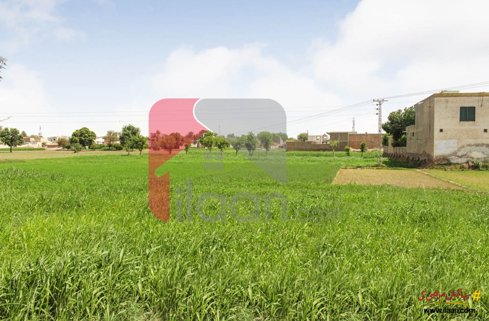 25 Acre Agriculture Land for Sale in Chak 19/BC, Bahawapur
