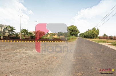3 Marla Plot for Sale in Tulip Garden, Lahore