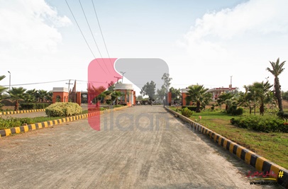 5 Marla Plot for Sale in Tulip Garden, Lahore