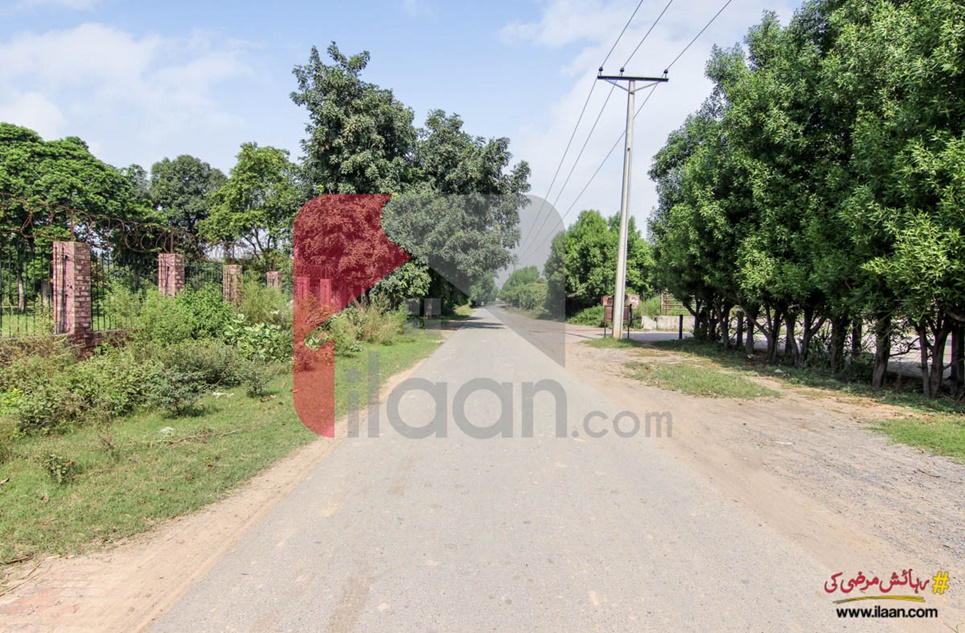 4 Marla Plot (Plot no 89) for Sale in Phase 1, Saadi Town, Jallo Park Road, Lahore