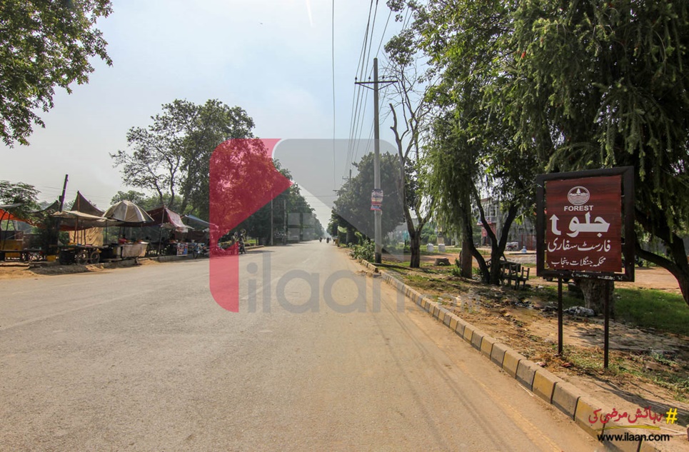 4 Marla Plot (Plot no 67) for Sale in Phase 1, Saadi Town, Jallo Park Road, Lahore