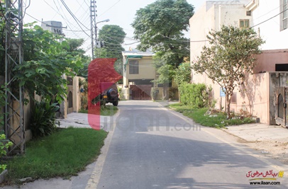 14 Marla House for Rent in Eden Cottage, Lahore
