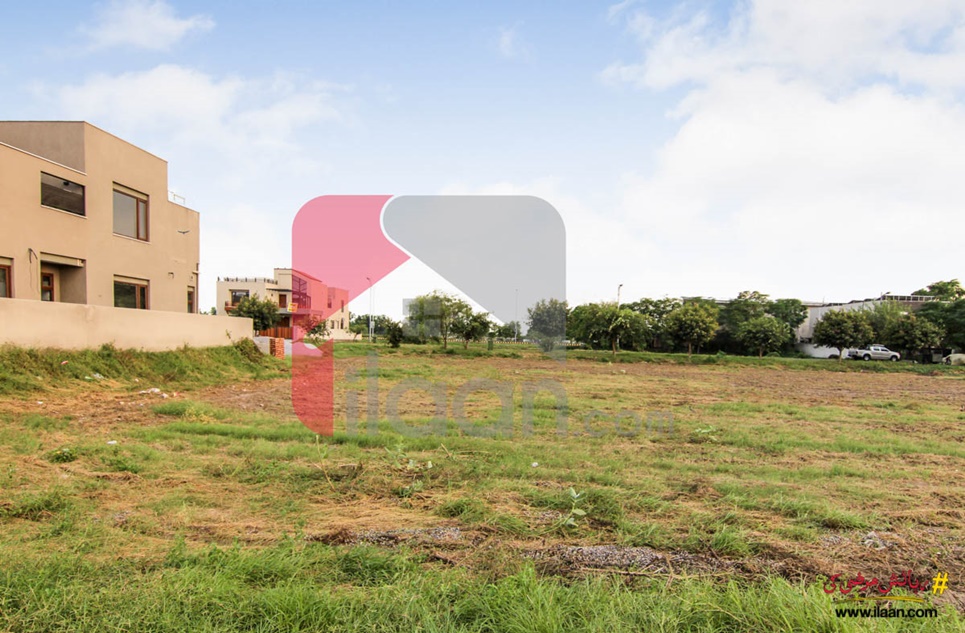 1 Kanal Pair Plots (Plot no 60+61) for Sale in Block M, Phase 6, DHA Lahore