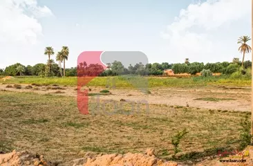 22 Acre Agriculture Land for Sale on Southern ByPass Road, Bahawalpur