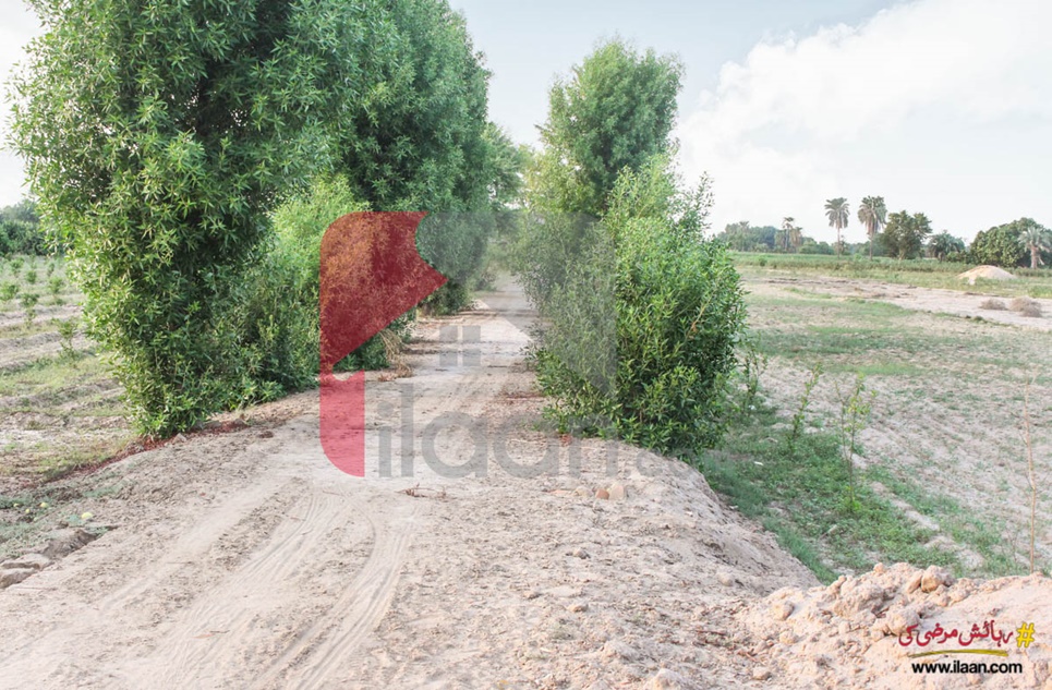 22 Acre Agriculture Land for Sale on Southern ByPass Road, Bahawalpur
