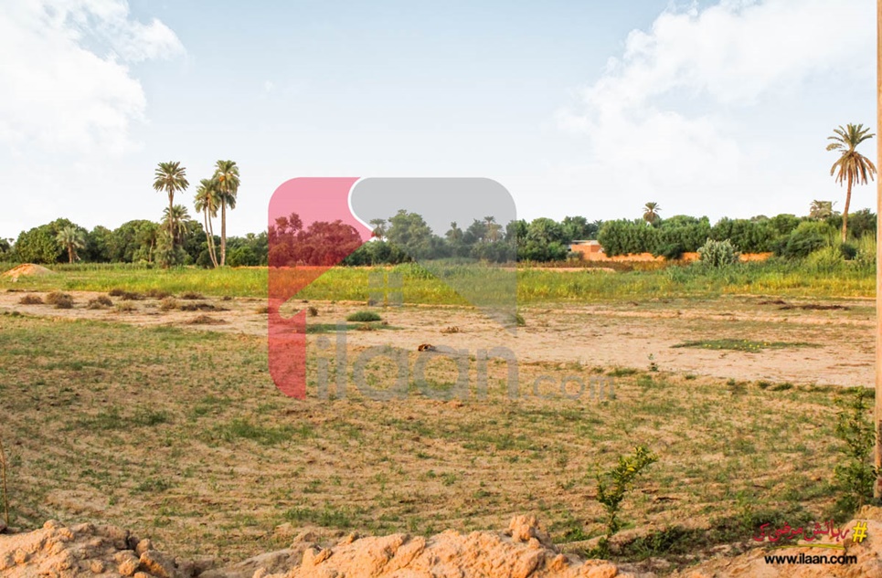 1 Acre 3 Kanal Agriculture Land for Sale on Southern ByPass Road, Bahawalpur