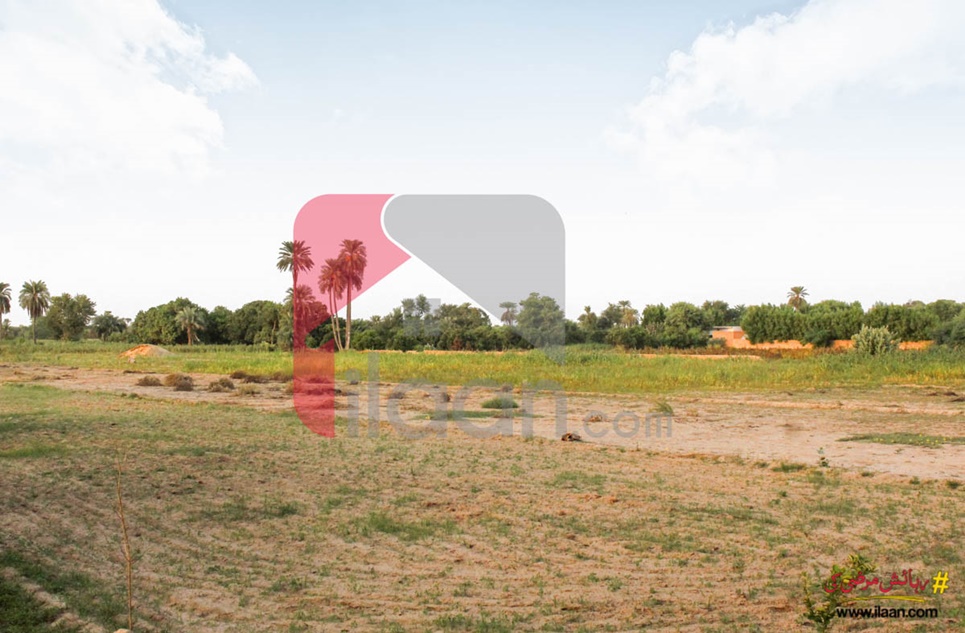 22 Acre Agriculture Land for Sale on Southern ByPass Road, Bahawalpur