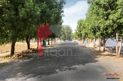 5 Marla Plot (Plot no 485) for Sale in Block E, Phase 2, Bahria Orchard, Lahore