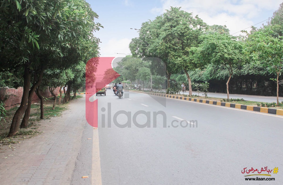 4 Marla House for Rent on Wahdat Road, Lahore
