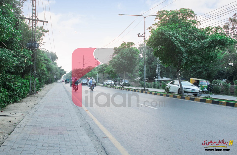 7 Marla Building for Sale on Wahdat Road, Lahore