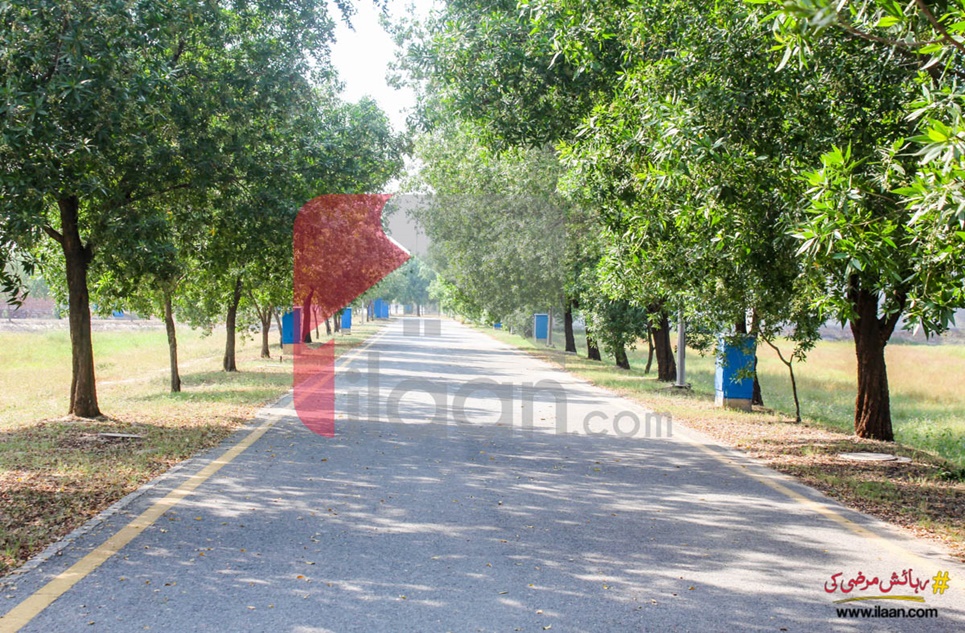 8 Marla Plot (Plot no 364) for Sale in Block J, Phase 2, Bahria Orchard, Lahore 