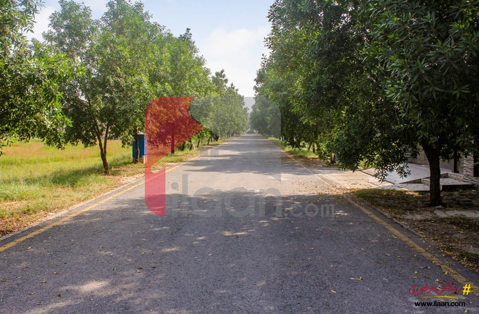 9.74 Marla Plot (Plot no 578) for Sale in Block J, Phase 2, Bahria Orchard, Lahore 