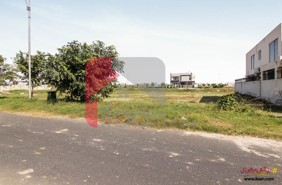 1 Kanal Pair Plots (Plot no 426+427) for Sale in Block M, Phase 6, DHA Lahore
