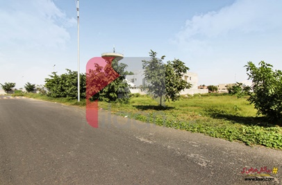1 Kanal Pair Plots (Plot no 21+22) for Sale in Block N, Phase 6, DHA Lahore