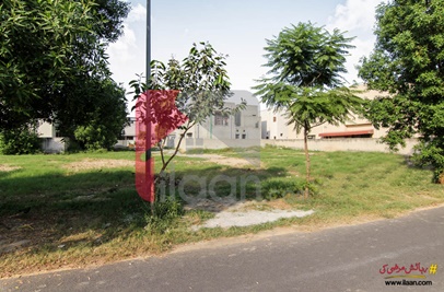 1 Kanal 1.75 Marla Plot (Plot no 118) for Sale in Block C, Phase 8, DHA Lahore