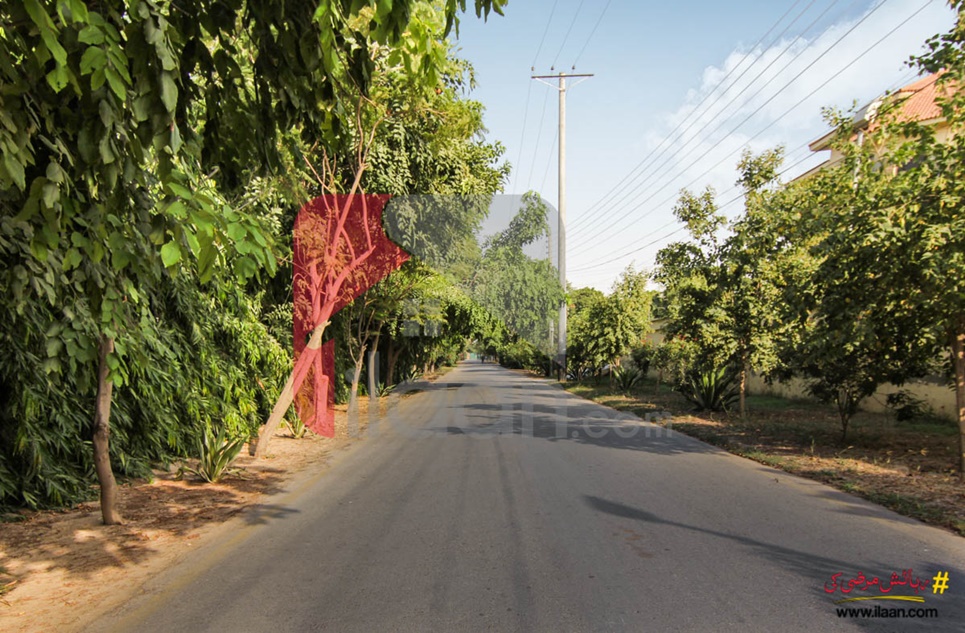 4 Kanal Plot for Sale in Ravi Block, Green Forts 2, Lahore