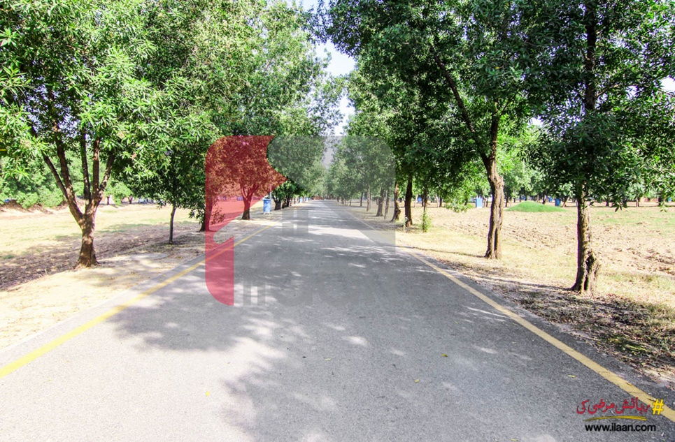5 Marla Plot (Plot no 985) for Sale in Block G, Phase 2, Bahria Orchard, Lahore
