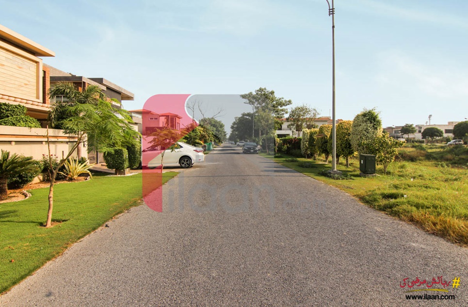 2 Kanal Pair Plots (Plot no 255+256) for Sale in Block B, Phase 6, DHA Lahore