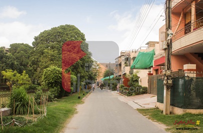 10 Marla House for Rent (Ground Floor) in Mustafa Town, Lahore