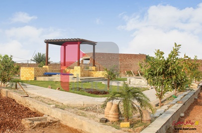 7 Marla Plot for Sale in Roman Block, Phase 7, Al Rehman Garden, Lahore